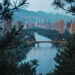 什么东西放大手机信号